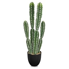 Dilatata tall fake for sale  Delivered anywhere in USA 