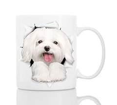 Divertente cane maltese usato  Spedito ovunque in Italia 