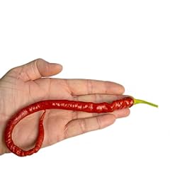 Turkish snake chilli for sale  Delivered anywhere in UK