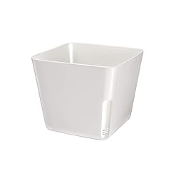 Zendea vaso quadrato usato  Spedito ovunque in Italia 