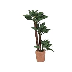 Bestonzon miniature potted for sale  Delivered anywhere in UK