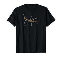 Stick bug insect for sale  Delivered anywhere in USA 