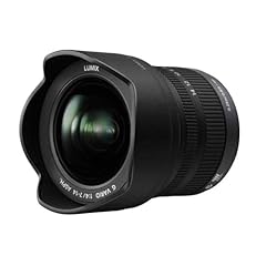 Panasonic f007014e lente usato  Spedito ovunque in Italia 