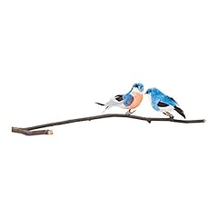 Gallerie bluebird birds for sale  Delivered anywhere in USA 