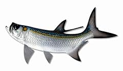 Handpainted tarpon fish for sale  Delivered anywhere in USA 