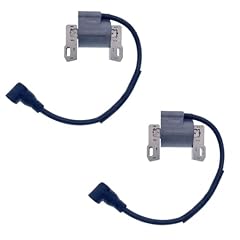 Igclinic 2pcs ignition for sale  Delivered anywhere in USA 