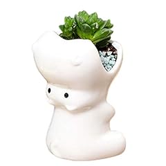 Monmob succulent pot for sale  Delivered anywhere in USA 