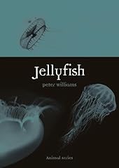 Jellyfish for sale  Delivered anywhere in UK