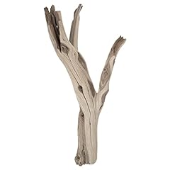 Koyal wholesale driftwood for sale  Delivered anywhere in USA 