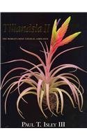 Tillandsia the most d'occasion  Livré partout en France