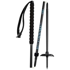 Rossignol baton sci usato  Spedito ovunque in Italia 