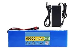 Batteria ebike 48v usato  Spedito ovunque in Italia 