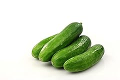 Vegetable plants cucumber for sale  Delivered anywhere in UK