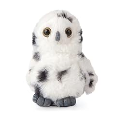 Living nature owl for sale  Delivered anywhere in USA 