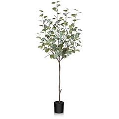 Fopamtri plante eucalyptus d'occasion  Livré partout en Belgiqu