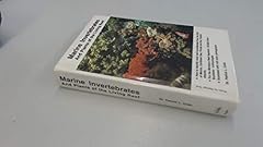 Marine invertebrates and usato  Spedito ovunque in Italia 