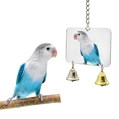Vogel papagei glocke gebraucht kaufen  Wird an jeden Ort in Deutschland