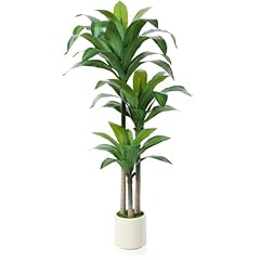 Oakred artificial dracaena for sale  Delivered anywhere in USA 