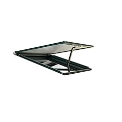 Rion palram canopia for sale  Delivered anywhere in USA 
