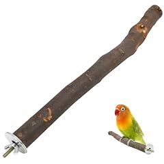 Parrot perch bird for sale  Delivered anywhere in UK