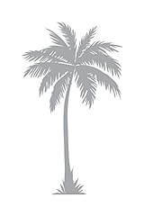 Lone palm coastal for sale  Delivered anywhere in USA 