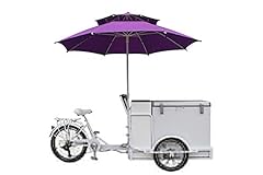Cozytrikes three wheel for sale  Delivered anywhere in USA 