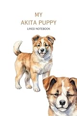 Akita puppy lined for sale  Delivered anywhere in USA 