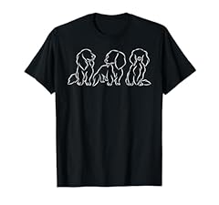 Long haired dachshund for sale  Delivered anywhere in USA 