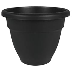 Companies caribbean planter for sale  Delivered anywhere in USA 