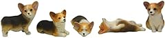 Pack corgi miniature for sale  Delivered anywhere in USA 