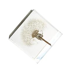 Artibetter dandelions paperwei for sale  Delivered anywhere in USA 