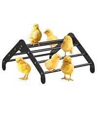Koutemie adjustable chicken for sale  Delivered anywhere in USA 