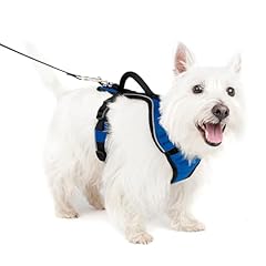 Petsafe harnais chien d'occasion  Livré partout en Belgiqu