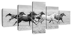 Elephant stock multi for sale  Delivered anywhere in USA 