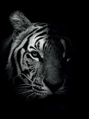 Notebook tiger for sale  Delivered anywhere in UK