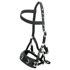 Cameo equine professional for sale  Delivered anywhere in UK