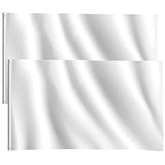2pcs blank white for sale  Delivered anywhere in UK