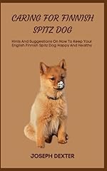Caring finnish spitz for sale  Delivered anywhere in UK