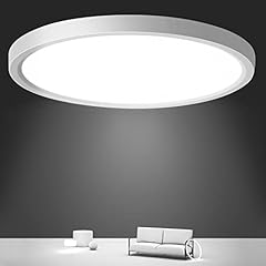Raymin led deckenleuchte gebraucht kaufen  Wird an jeden Ort in Deutschland