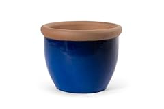 Teramico vaso per usato  Spedito ovunque in Italia 