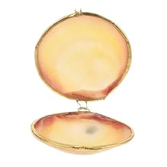 Jewedeco natural shell for sale  Delivered anywhere in USA 
