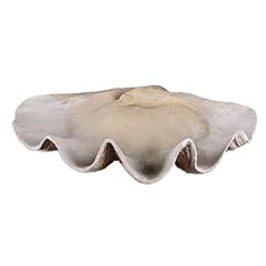 Clam 22.88 inch for sale  Delivered anywhere in USA 
