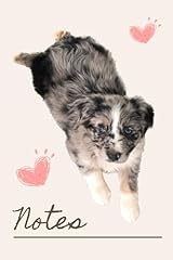 Australian shepherd puppy for sale  Delivered anywhere in USA 