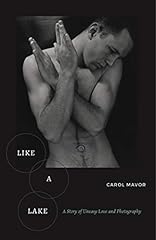 Like lake story d'occasion  Livré partout en Belgiqu