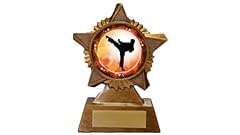 Karate trophy award for sale  Delivered anywhere in UK