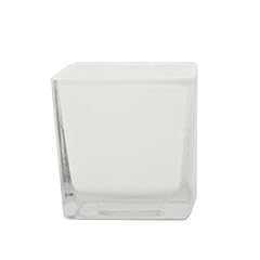 ExotenHerzz - Portavaso a forma di cubo in vetro, 8 x 8 x 8 cm, colore: Bianco usato  Spedito ovunque in Italia 