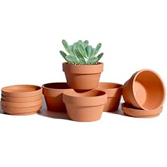 9.4 terracotta shallow for sale  Delivered anywhere in UK