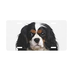 Dbdymg cavalier king for sale  Delivered anywhere in USA 