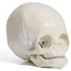 Lvchen human infant for sale  Delivered anywhere in USA 