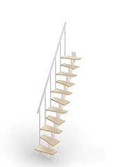 Scala mister step usato  Spedito ovunque in Italia 